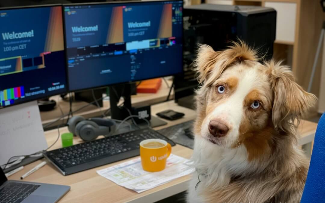 The Case for Pet-Supportive Workplaces